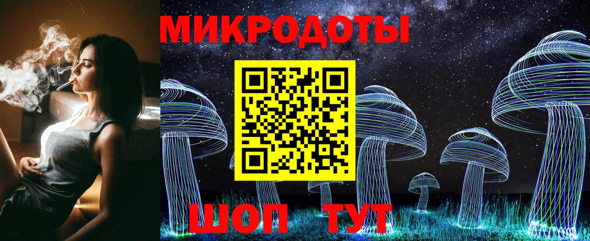 Галлюциногенные грибы Psilocybe Тайшет